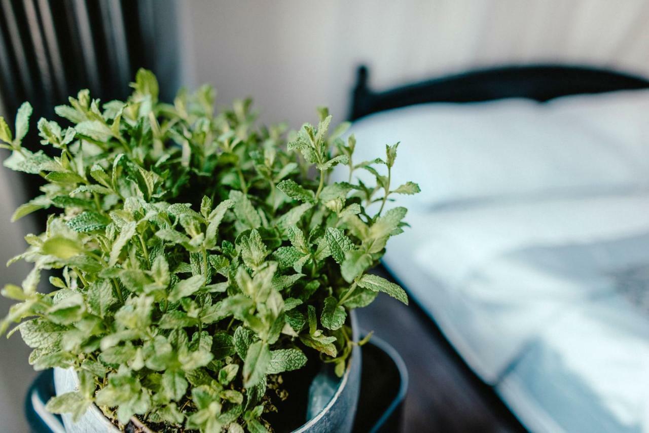 ברנו Wake Up Wellness Hostel מראה חיצוני תמונה